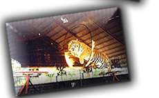 ���͡��ⴴ�ʹ��ǧ�